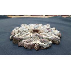 Cast Iron Flower Design Building Rosette #GA4065