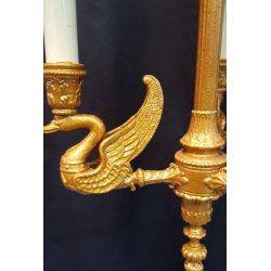 3 Light Louis XVI Inspired Gold Painted Chandelier with Shades #GA515