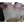Load image into Gallery viewer, Converted Brass Two Light Sconce With Frosted Etched Ruffled Shades #G2LS