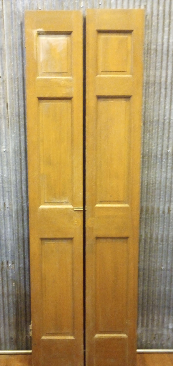 Pair of Narrow Wood Interior Doors with Raised Panels" 12" x 79 1/2" #GA-S021