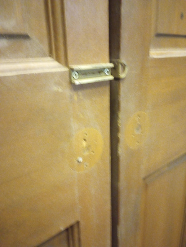 Pair of Narrow Wood Interior Doors with Raised Panels" 12" x 79 1/2" #GA-S021
