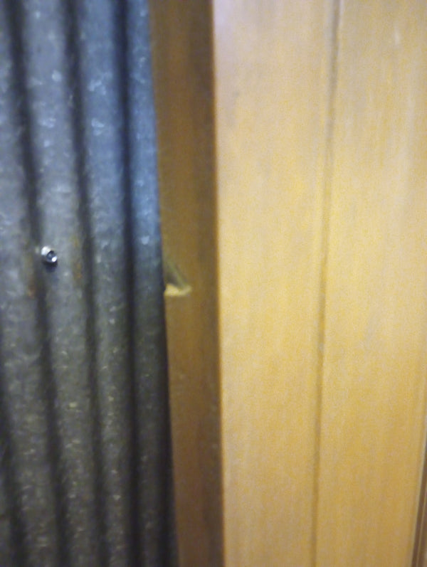 Pair of Narrow Wood Interior Doors with Raised Panels" 12" x 79 1/2" #GA-S021