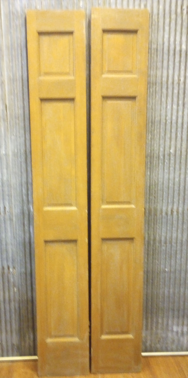 Pair of Narrow Wood Interior Doors with Raised Panels" 12" x 79 1/2" #GA-S021