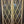 Load image into Gallery viewer, Pair of Diamond Paned Windows in Wood Frame 24 1/4" x 71 1/2" #GA-S022
