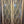 Load image into Gallery viewer, Pair of Diamond Paned Windows in Wood Frame 24 1/4" x 71 1/2" #GA-S022