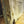 Load image into Gallery viewer, Pair of Narrow Wood & 3/4 Top View Interior French Doors 23" x 80 1/2" #GA-S024