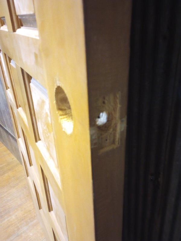 21 Panel Exterior Door 35 3/4" x 80" #GA-S098