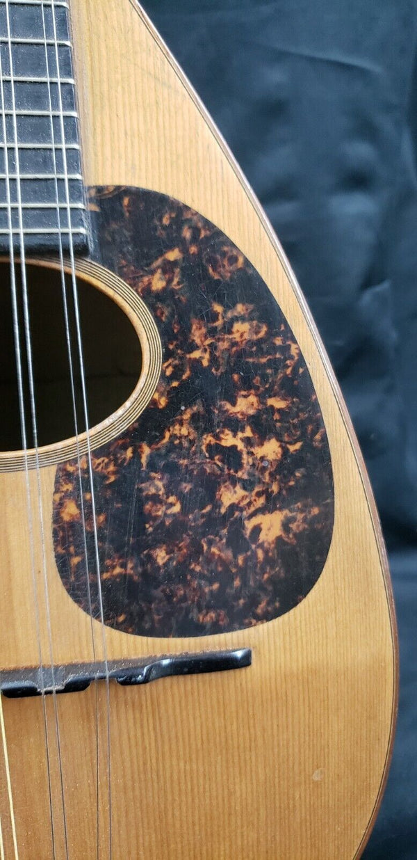 1916 C.F. Martin Bowl Back Mandolin in Mint Condition GS00713