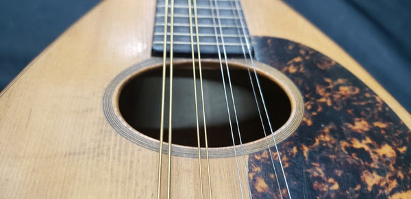 1916 C.F. Martin Bowl Back Mandolin in Mint Condition GS00713