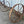 Load image into Gallery viewer, Antique Cast Iron Wagon Wheel &amp; Axle Assembly GA20954
