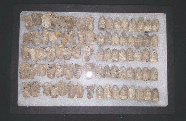 40 CW 3 Ring Bullets Dug at Battle of Deep Bottom in White Oak Swamp VA GS00717