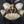 Load image into Gallery viewer, Brass 8-Light Chandelier with Shades GA21276
