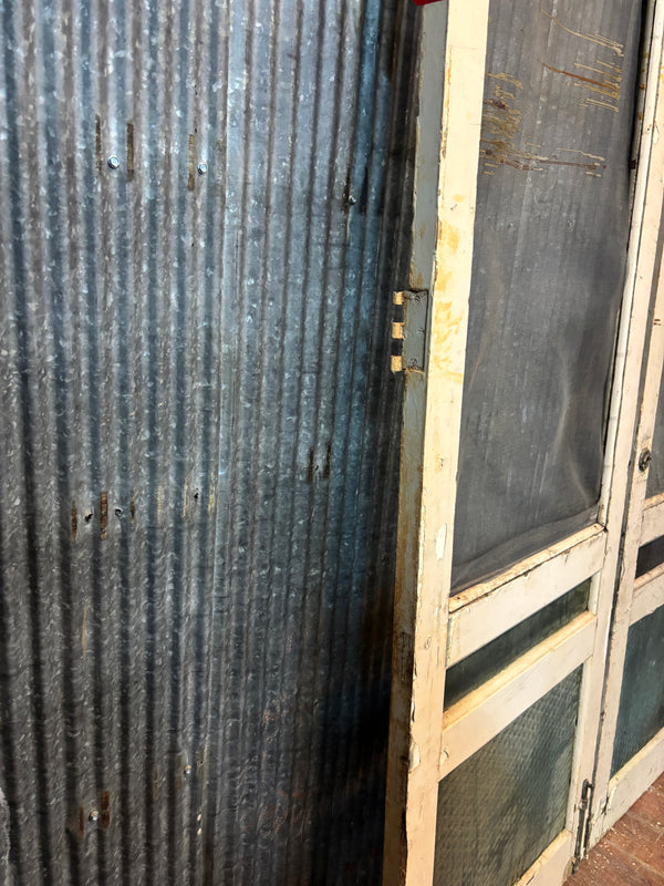 Pair of Storm Doors GA21169
