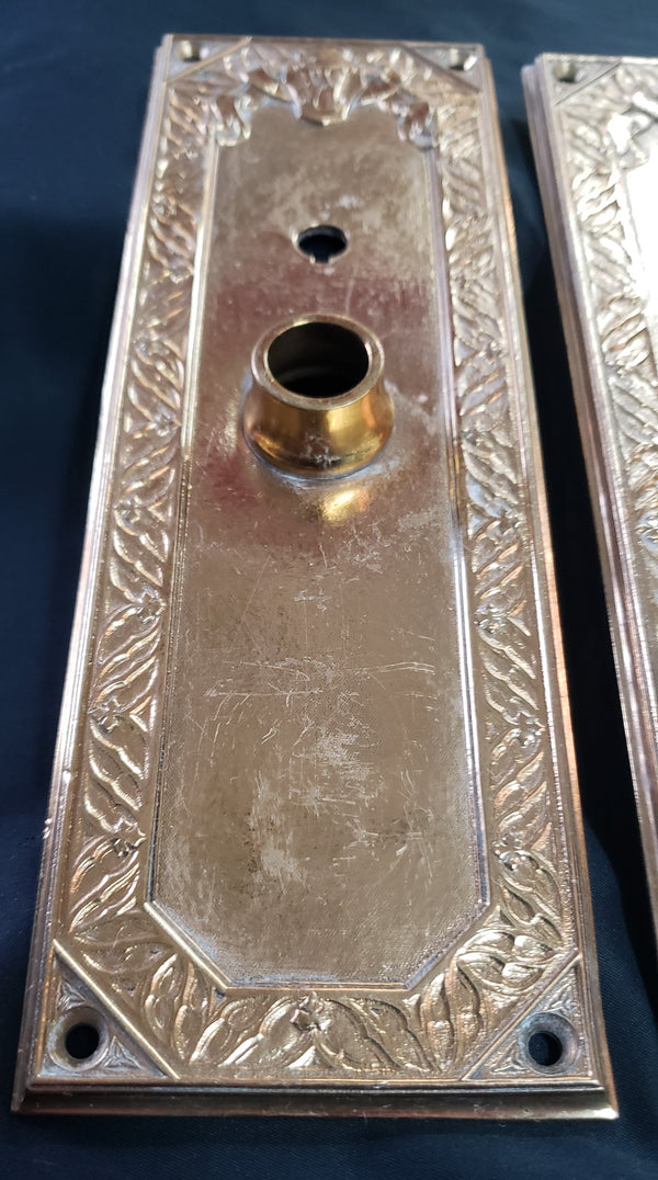 1913 Woolworth Building N.Y. Solid Bronze Door Backplates w/ Thumb Turn GS010938