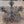 Load image into Gallery viewer, Restored Ornate Art Nouveau Solid Brass 5 Light Chandelier 13"x 30" GS00985

