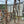 Load image into Gallery viewer, 8 Ft Wrought Iron Arbor GA20242
