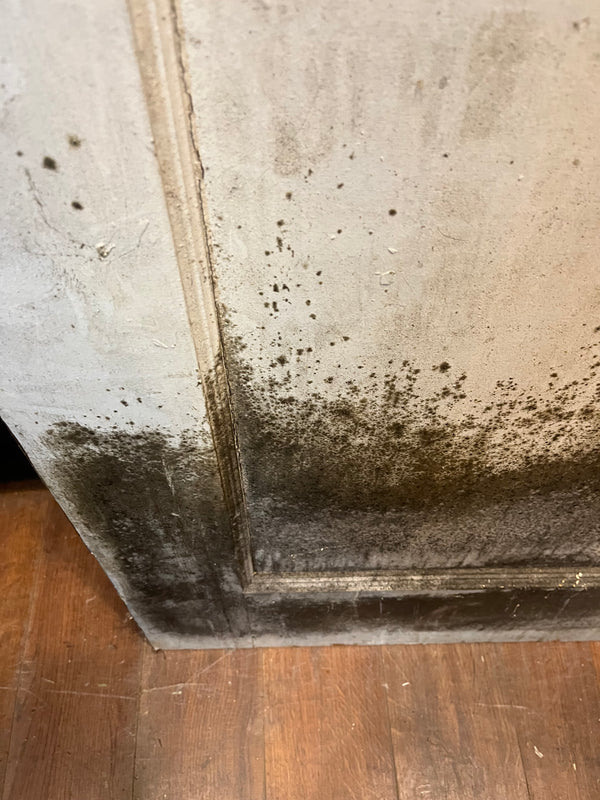 2-Panel Door GA10478