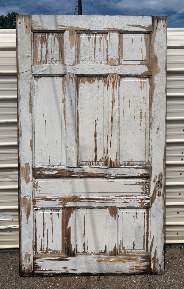 Wooden 10-Panel Door GA21532