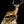 Load image into Gallery viewer, Full Body Mount Whitetail Buck Taxidermy GA20365
