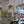 Load image into Gallery viewer, Brass and Crystal Ballroom Chandelier GS011024
