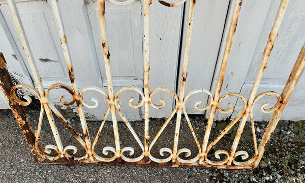 Antique Iron Gate Panel w/ Scrollwork GA20505