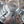 Load image into Gallery viewer, Set of 4 OEM 1963 Chevrolet Corvette Chrome Hub Caps GA9825
