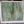 Load image into Gallery viewer, Texture Green Swirl Stained Glass Window 28&quot; T by 31 3/4&quot; W #GA9161
