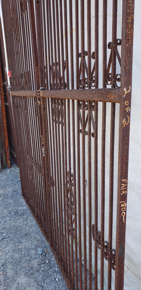 Pair of Ornate Wrought Iron Gates 84 3/4" Tall by  34 1/4" Wide #GA9403