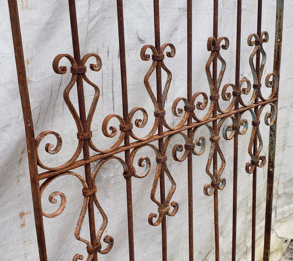 Ornate Wrought Iron Gate 39 1/4" Wide by 69 1/2" Tall GA9471