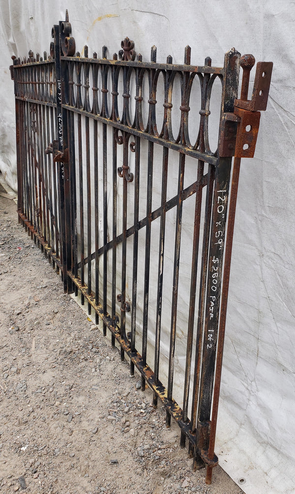 Pair of Ornate Wrought Iron Driveway Gates 55 1/4" Wide x 49 1/2" Tall GA9478