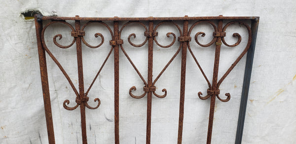 Wrought Iron Gate Panel with Heart Shaped Scrolls 25" W x 66" T GA9531