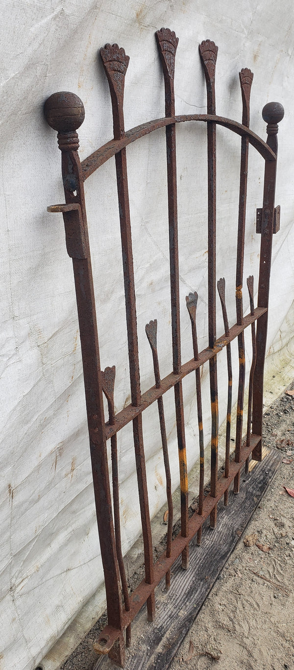 Unique Arched Top Wrought Iron Gate  38 1/4" Wide x 44" Tall GA9582