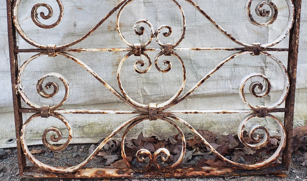 Ornate Wrought Iron Gate Panel 22 3/4" Wide by 50 3/4" Tall GA9607