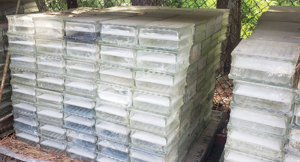 Reclaimed Square Glass Blocks 7 3/4" x 3 7/8" 3 Patterns Available - Over 1000 In Stock!