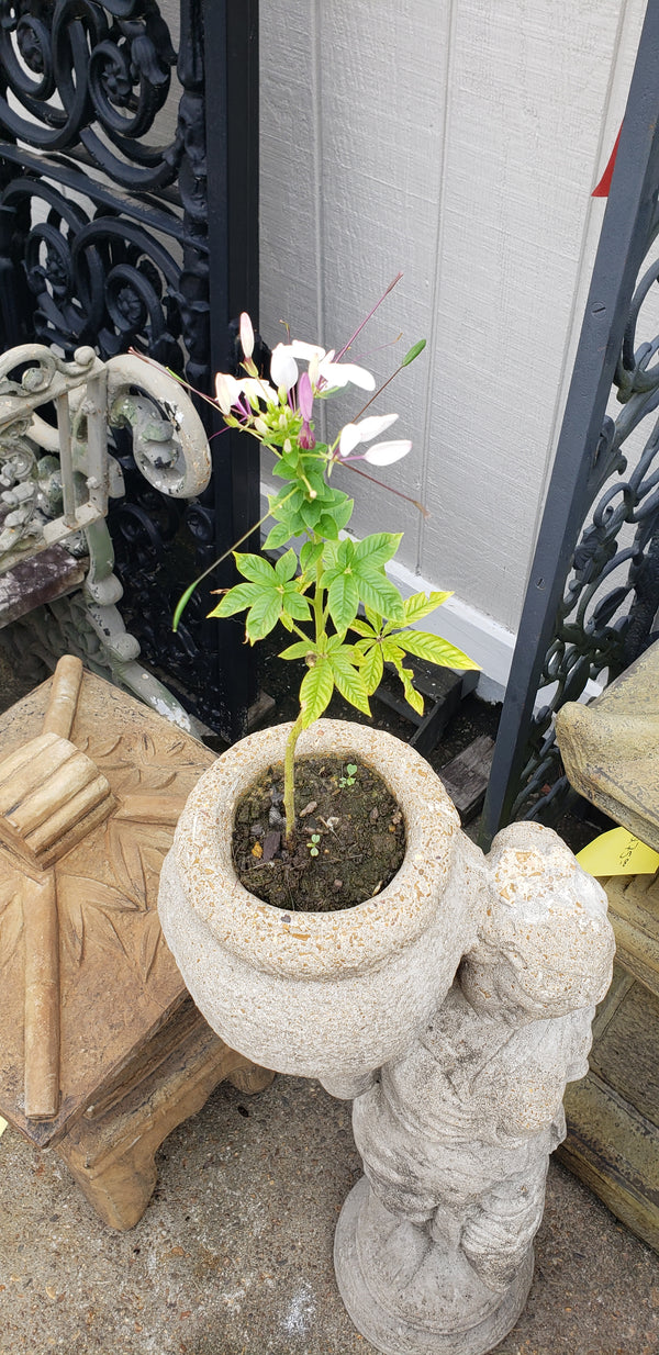 Greek Garden Statue with Top Planter  36" Tall GS00019