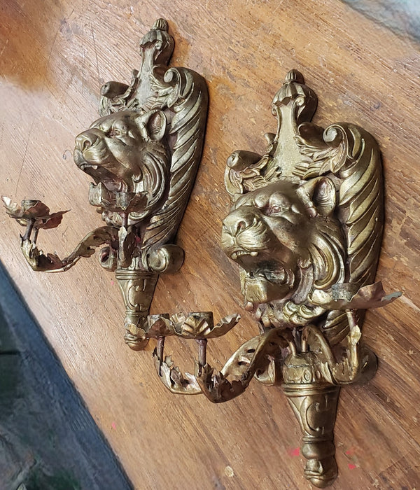 Pair of Gold Painted 3 Candle Roaring Lion Wall Sconces 19 1/2" x 13" GS00063