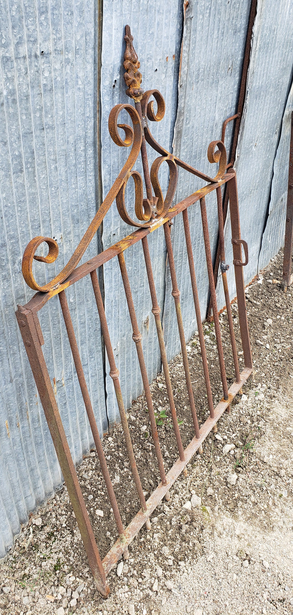 Wrought Iron Gate with Ornate Top & Side Pull 34 3/4" W x 46 1/2" T GS00068