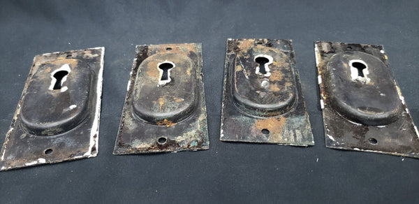 Set of 4 Brass Pocket Door Escutcheon Plates 4 1/2" x 2" GS00253