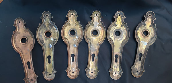 6 Brass Art Nouveau Door Knob Backplates w/ Key Holes 6 1/2" x 2" GS00286