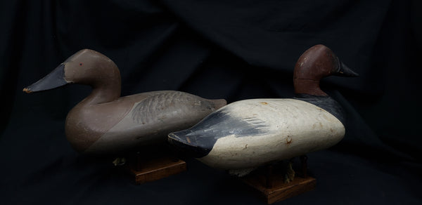 1952 Matching Pair of Male & Female Duck Decoys by R. Madison Mitchell  GS00348