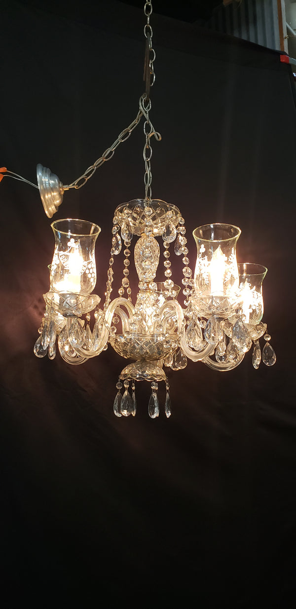 5 Light Crystal Chandelier w/ Etched Glass Shades & Canopy Top 21" x 19" GS00416
