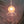 Load image into Gallery viewer, Vintage Fluted Frosted to Clear Swag Pendant Fixture  GS00501
