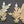 Load image into Gallery viewer, 6 Solid Brass Leaf Design Drapery Tie Backs 8 3/8&quot; x 2 5/8&quot; GS00564
