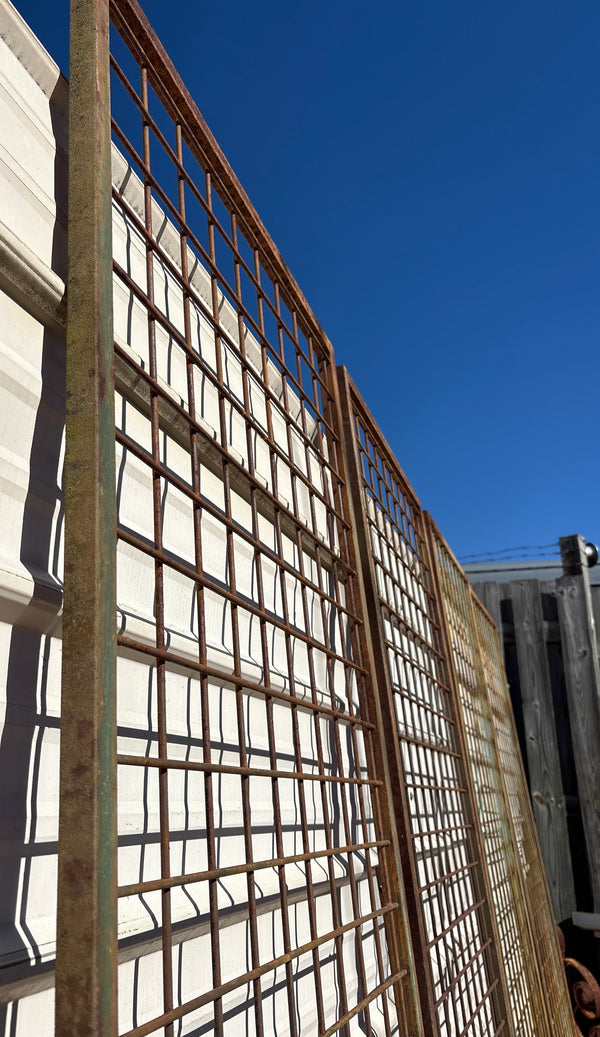 Steel & Wire Garden Trellises - 4 Available GA20506