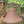Load image into Gallery viewer, C.S. Bell Hillsboro Ohio 20&quot; x 12&quot; Cast Iron Bell #24 w/ Top Yoke GS00696
