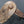 Load image into Gallery viewer, Original Confederate Cavalry Raking Spur With Horizontal Rowel &amp; Leather Band
