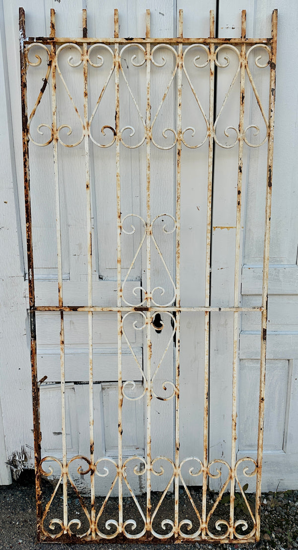 Antique Iron Gate Panel w/ Scrollwork GA20505