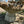 Load image into Gallery viewer, Concrete Fountain w/ Raised Centerpiece GA20350

