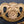 Load image into Gallery viewer, Architectural Salvage Brass Daisy &amp; Tulip Design Drawer Pull Handles Set of 3
