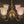 Load image into Gallery viewer, Restored 4 Light Brass Chandelier w/ Hyalophane Shades 20" x 52" GS01001
